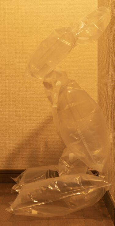 ART TRACE GALLERY「ミメーシス」展示案内