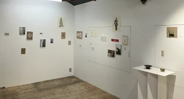 Up & Coming「明日は生まれたてだから」感想